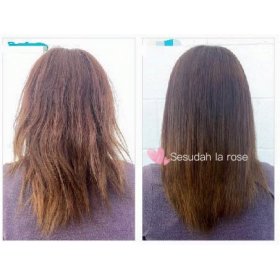 Repair Damaged Hair Shampoo