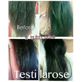 Repair Damaged Hair Shampoo