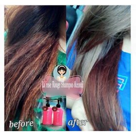 Repair Damaged Hair Shampoo